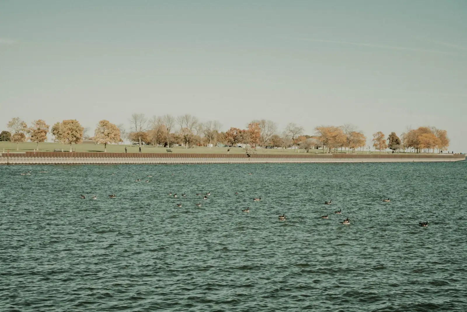 Lake Michigan shoreline under autumn trees on a clear day